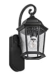 Maximus Smart Companion Light (Camera-Less) - Coach Black - Compatible with Alexa