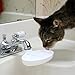 Sink Drink - Turns a Faucet Into a Fountain for Your Cat
