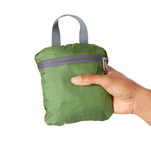 amazonbasics ultralight packable day pack