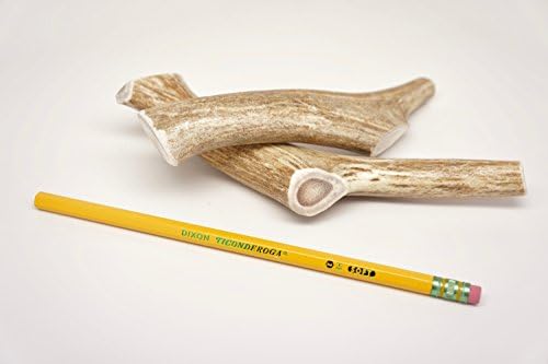 TWO (2) piece Medium Deer Antler Chew Bone for Dogs under 40 pounds, 5" - 7" long, antler dog chews, antler horn dog bones natural raw diet grade A premium