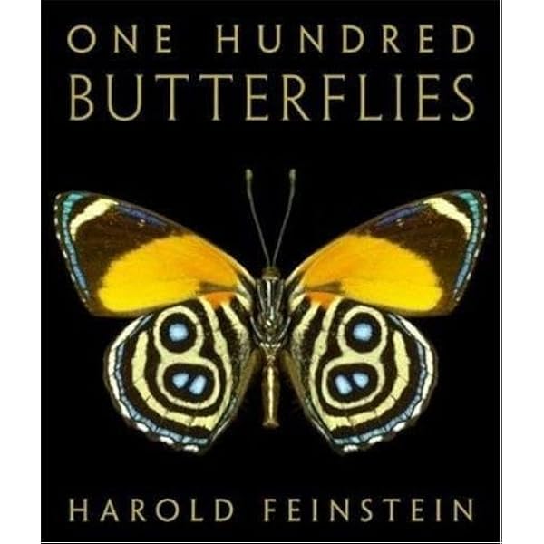 One Hundred Seashells 自然 貝 アート 写真集 Japanese Seashell Prints: Dive into the Beauty of Marine Art