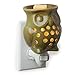 Candle Warmers Etc. Pluggable Fragrance Warmer, Owl