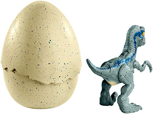 Mattel GmbH FMB92 Jurassic World Schlüpfender Dino Velociraptor, Blau – Bild 4
