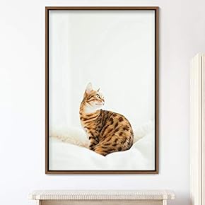 signwin Framed Canvas Wall Art Cat Animals Cat...