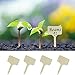 WeiMeet 50 Pieces Wood Plant Markers Garden Plant Labels Plant Container Labels Tagsthumb 3