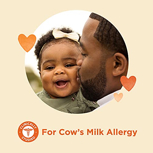 Mama Bear Hypoallergenic Infant Formula Powder With Iron on Galleon