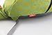 ZHUANNIAN Kids Toddlers Dinosaur Backpack with Safety Leash for Boys Girls(Green)