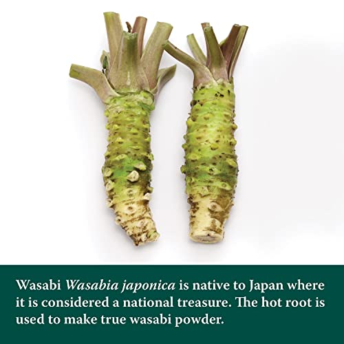 Eden Wasabi Powder, With Real Japanese Horseradish, Traditionally Made