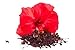 4oz Organic Hibiscus Powder USDA Certified Organic PREMIUM