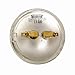 Vstar LED PAR36 9W (Eq to 50W Halogen) 12V AC/DC Lamp Landscape Waterproof (Cool White)