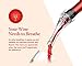 Wine Aerator Pourer by Invinety | All in one Diffuser, Decanter and Oxygenator | Enhance Wine Flavors with a Smoother Finish | Premium Aerating Decanter Spout (1)