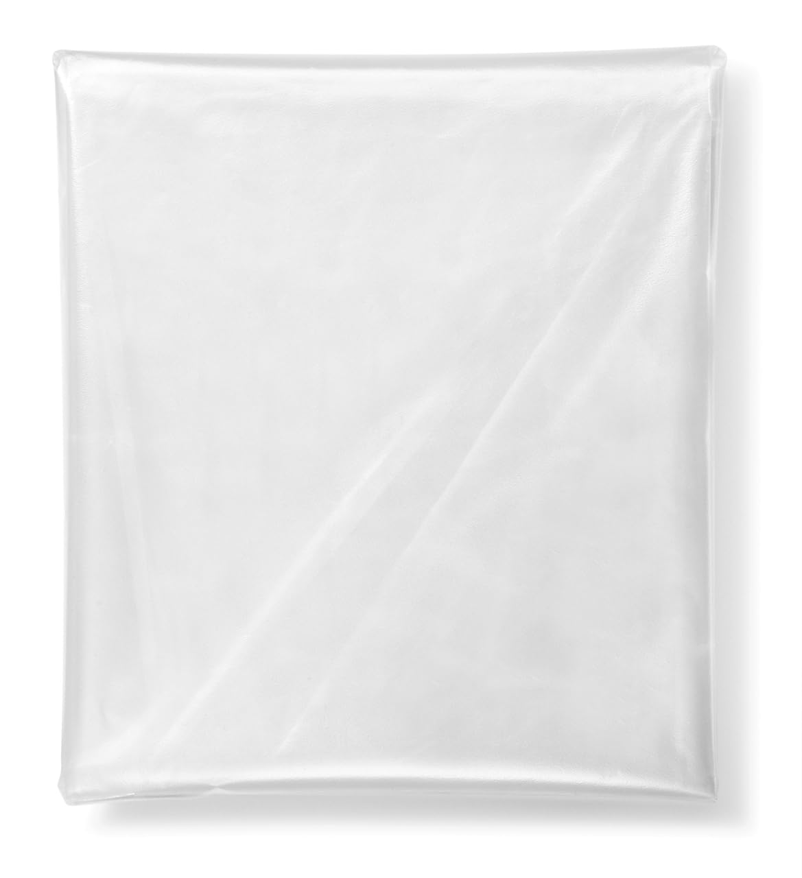 Festool Disposable Bag ENS-VA-20/10