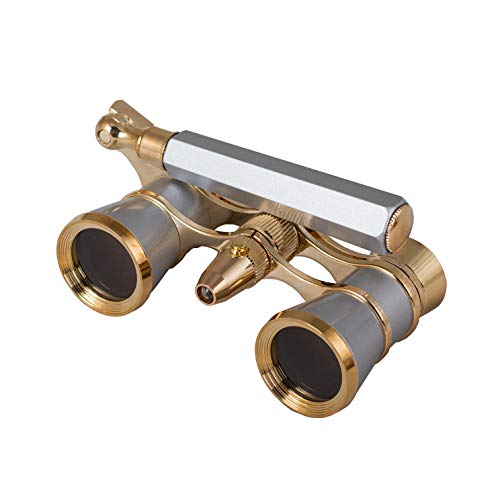 SILVER, with handle & LED light