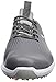 PUMA Men's Ignite Pwradapt Leather Golf Shoe