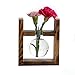 Ivolador Desktop Glass Planter Bulb Vase with Retro Solid Wooden Stand for Hydroponics Plants Home Garden Wedding Decor (1 Bulb Vase)thumb 2