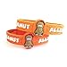 (1) AllerMates Kids Medical Wristband - Peanut Children's Medic Alert Allergy Awareness Bracelet