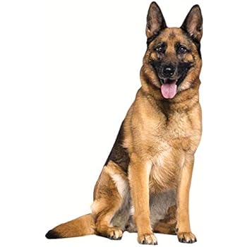 Paper House Productions 3.5