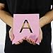 Andaz Press Shiny Gold Foil Paper Pennant Hanging Baby Shower Banner with Gold Party Signs, It's Twins! Pink, Pre-Strung, No Assembly Required, 1-Set