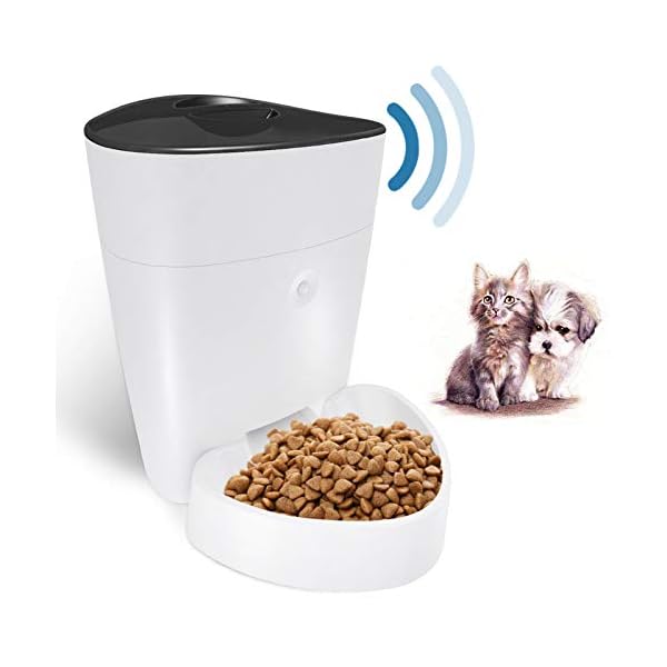 automatic cat feeder portion control
