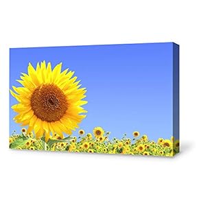 Canvas Wall Art for Living Room,Bedroom Home Artwork Paintings Sunflower Ready to Hang- 12x18 inches