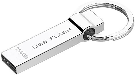 RUICHENXI Waterproof 256GB USB Flash Drive Pen Drive Memory USB Stick with Keychain (256gb)