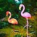 W-DIAN Pink Flamingo Solar Lights Outdoor Pathway Metal Yard Art Plastic Patio Path Lawn Garden Outside Post Lighting 1 Pack Flamingo Gifts