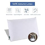Natural Talalay Latex Foam Pillow Standard with Eco-friendly Hypoallergenic and Anti-mite by SWEESLEEP (Soft, 23