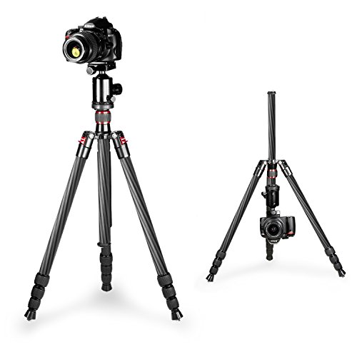 Neewer Carbon Fiber 66 inches/168 centimeters Tripod Monopod with 360