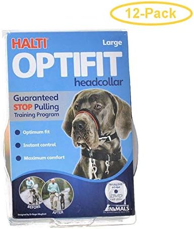 advance large breed chicken