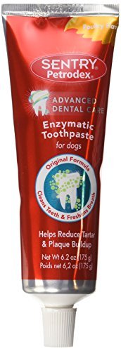 Petrodex Enzymatic Toothpaste Dog Poultry Flavor FamilyValue 2Pack (6.2oz) DFW