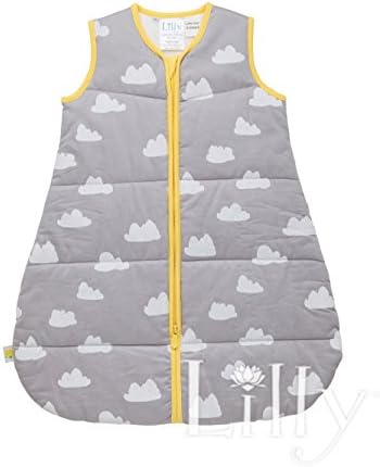 Stock Sale Unisex Baby Sleeping Bag TOG 2.5 - Medium (6-18 Months)