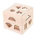 Babrit 13 Holes Intelligence Shape Sorter Cognitive and Matching Wooden Geometric Shape Sorting Box