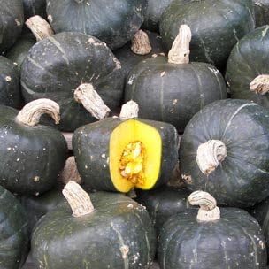 Amazon Seed Heirloom Squash Burgess Buttercup エアルーム スクワッシュ バーゲス バターカップ 10 Seeds 野菜