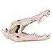 Design Toscano Crocodile Skull Artifact Statue