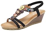Femaroly Ethnic Female Sandals Wedge Large Size