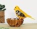 CUTPOPUP Yellow Grosbeak Pop Up Card, 3D Birthday Cards, Fathers Day, Mothers Day Card, Thank You Greeting Card