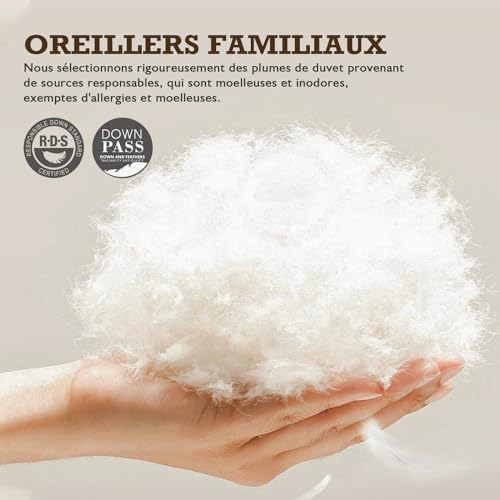 BPC Organic Feather Duvet Pillow 60 x 60 cm Pack of 2, Luxury Hotel Pillow with 3 Bedrooms, Pillow 60 x 60 cm Duvet with 100% Cotton Cover and Goose Feather Filling, White