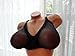 Silicone Breast Form Bra Mastectomy Black Lace Sz34C,D to Sz52D