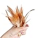 SBYURE 300pcs 6 Kinds of Feather Assorted for Various Crafts, Birthday Parties, Wedding and Dream Catcher Crafts