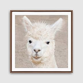Framed Alpaca Home Artwork for Living Room Bedroom
