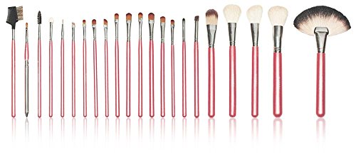 SHANY Cosmetics NY Collection Pro Brush Kit, 13 Ounce (22 Piece Natural ZGF Goat or Sable Bristles with Red Cotton Pouch)