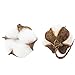 CEWOR 20Pcs Natural Cotton Flower for Flower Arrangement Wedding Decoration