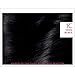 L'Oreal Paris Excellence Creme Permanent Hair Color, 1C Cool Black, 100 percent Gray Coverage Hair Dye, Pack of 1