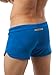 N2N - L2 -Sexy Super Soft Silk Like Featherlight Lounge Shorts- Mocha, Blue or Silver