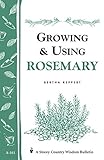 Growing & Using Rosemary: Storey's Country Wisdom Bulletin A-161 (Storey Publishing Bulletin, A-161) by Bertha Reppert