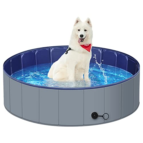 Dog Pool
