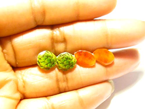 Mini Artichoke Stud Earring - Tiny Food Jewelry