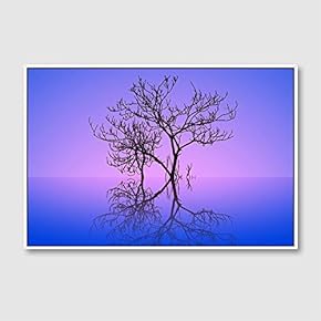 Framed Canvas Wall Art for Living Room, Bedroom Animals Canvas Prints for Home Decoration Ready to Hang - 16x24 inches