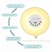 Wake Up Light Alarm Clock 7 Colors Bedside Night Light with Sunrise Simulation Radio Nature Sounds FM Radio Touch Control and USB Charger