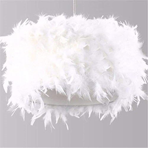 PLLP Chandelier-European Style Feather Pendant Lamp Originality Personality Fashion Modern Brief Decoration Lamps and Lanterns